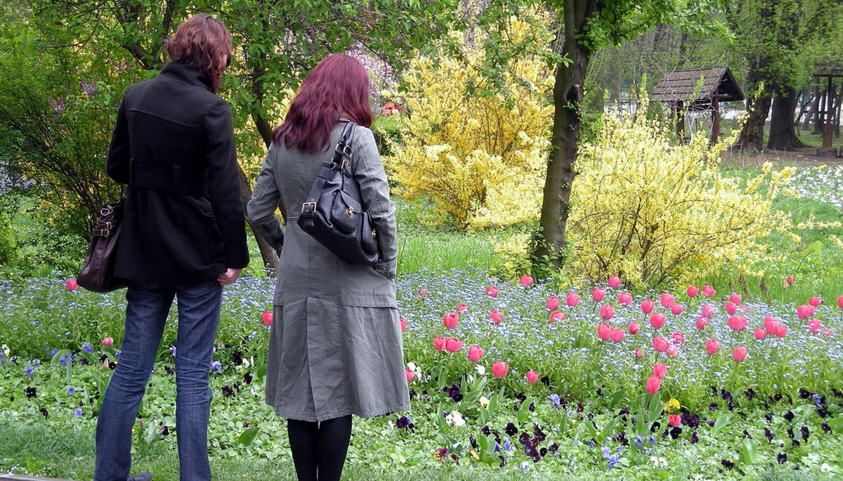 flori bucuresti