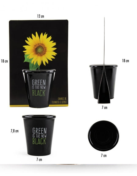 Floarea soarelul - kit de plantare