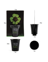 Trifoi cu 4 foi🍀- kit de plantare