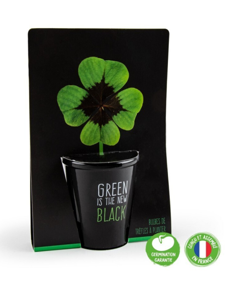 Trifoi cu 4 foi🍀- kit de plantare